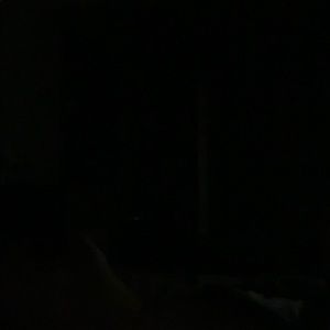 Meet your Posher, Evan